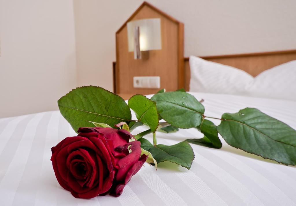 Serviced Apartments Kurpfalzhof Oftersheim Room photo