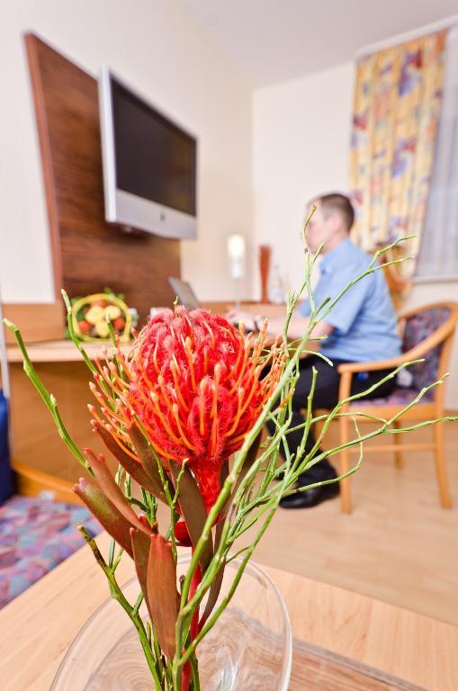Serviced Apartments Kurpfalzhof Oftersheim Room photo
