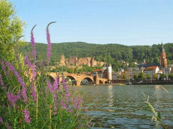 Serviced Apartments Kurpfalzhof Oftersheim Exterior photo